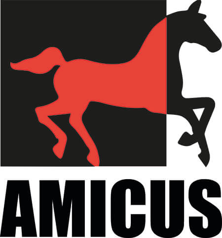 amicus