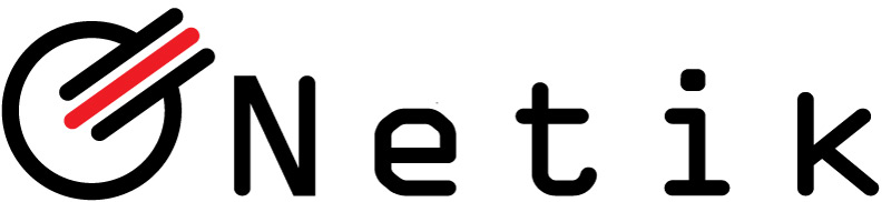 netik-logo-web_5